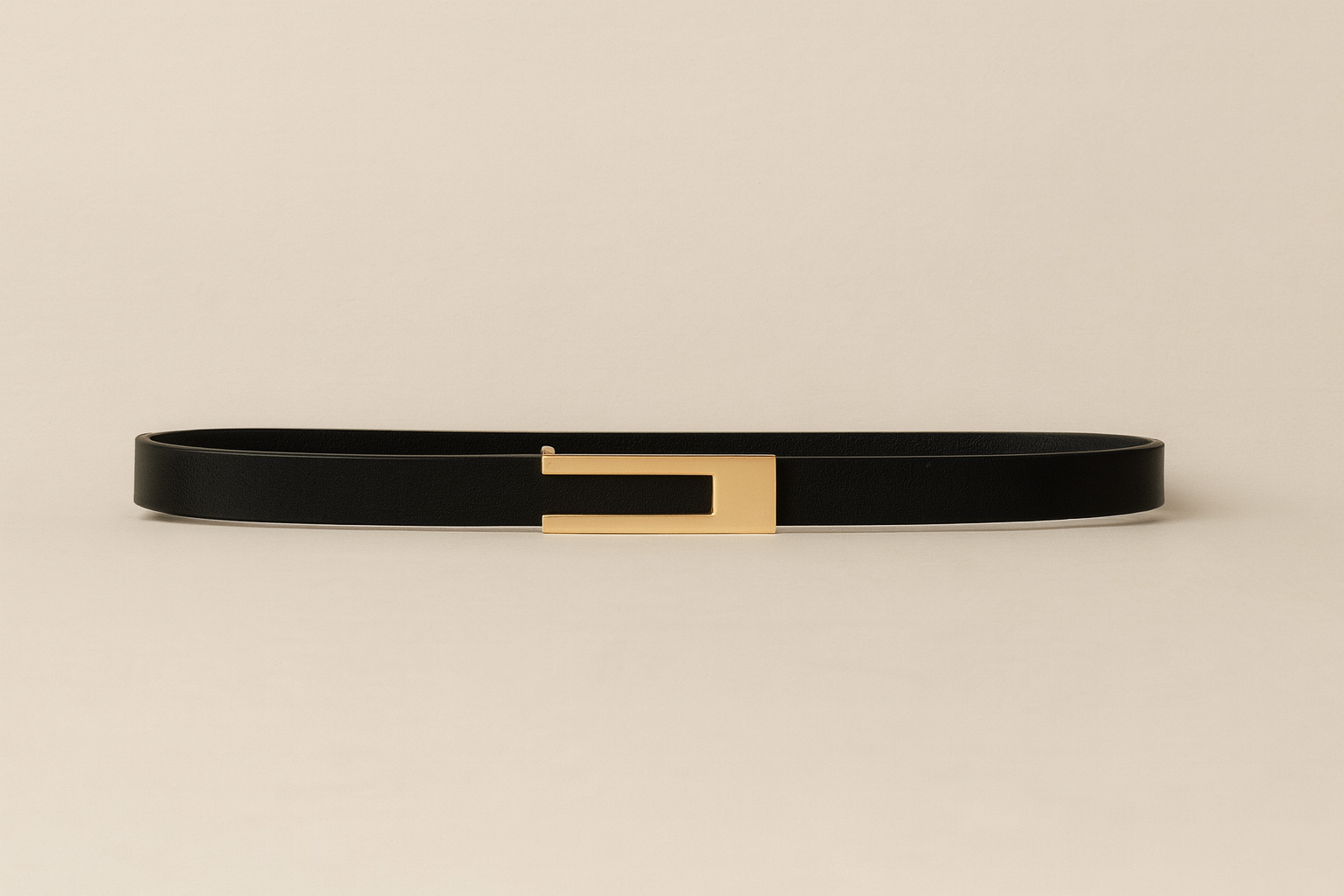 Black Belt with Gold Buckle